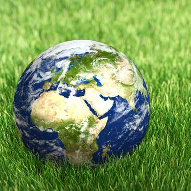 Environmental Economics & Sustainability